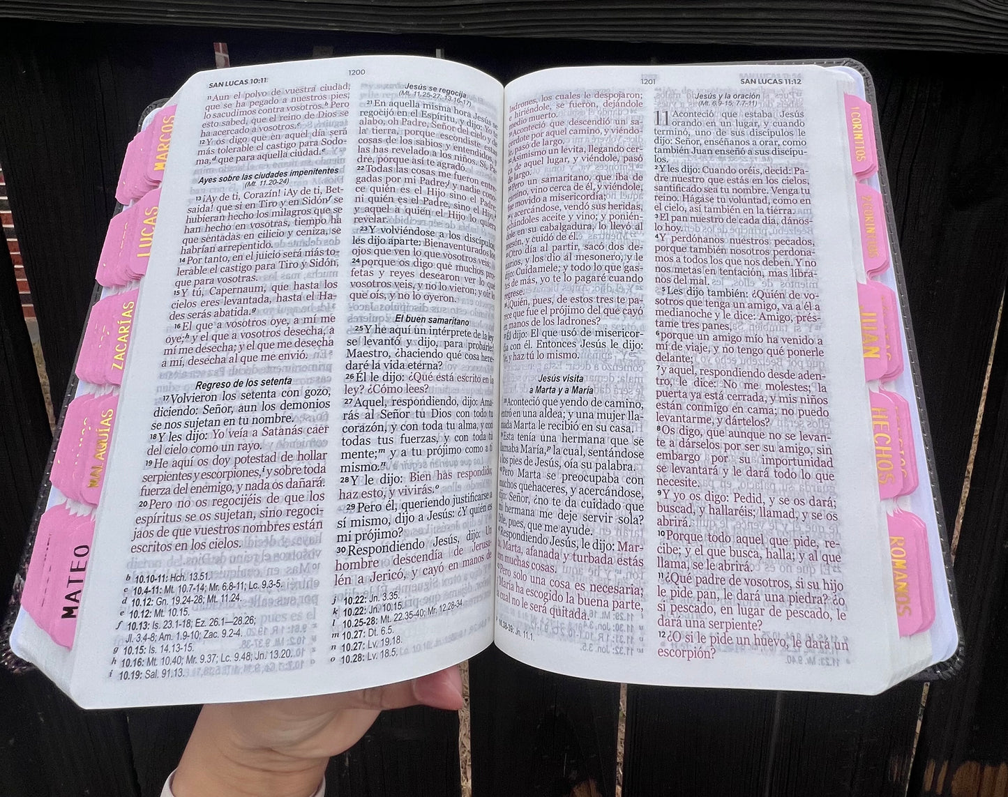 Tabs rosas con letras doradas