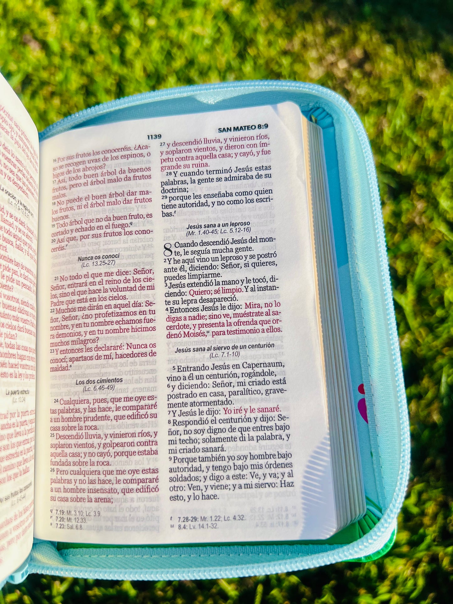 Biblia de bolsillo diseño azul con flores y pajarito (RV1960)