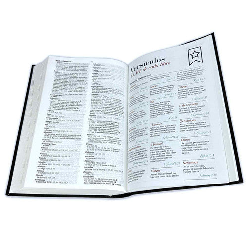 Biblia Letra Grande 12 puntos RV1960 flexible con índice - Armadura de Dios