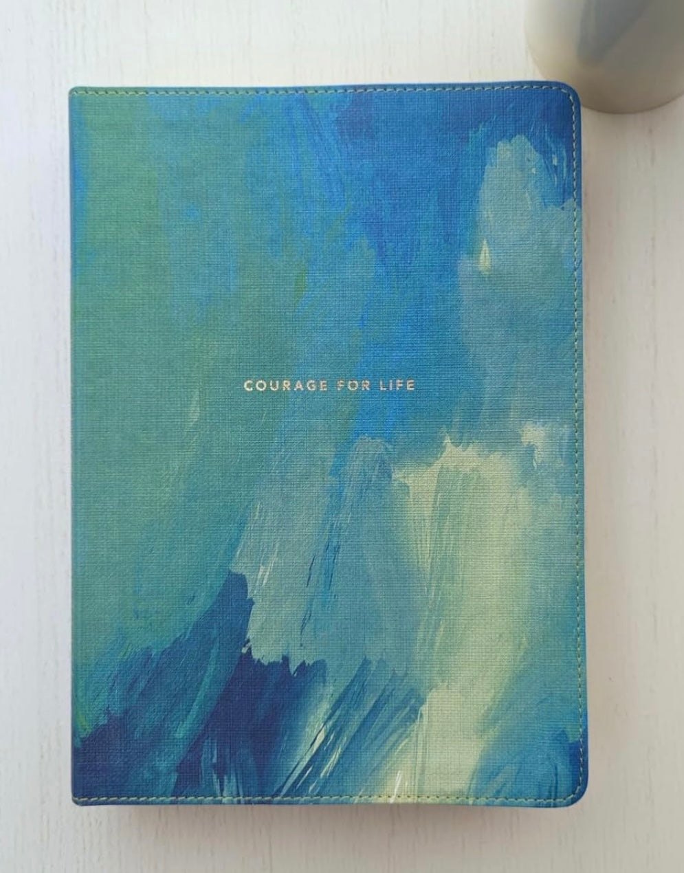 Courage for life bible (NLT)