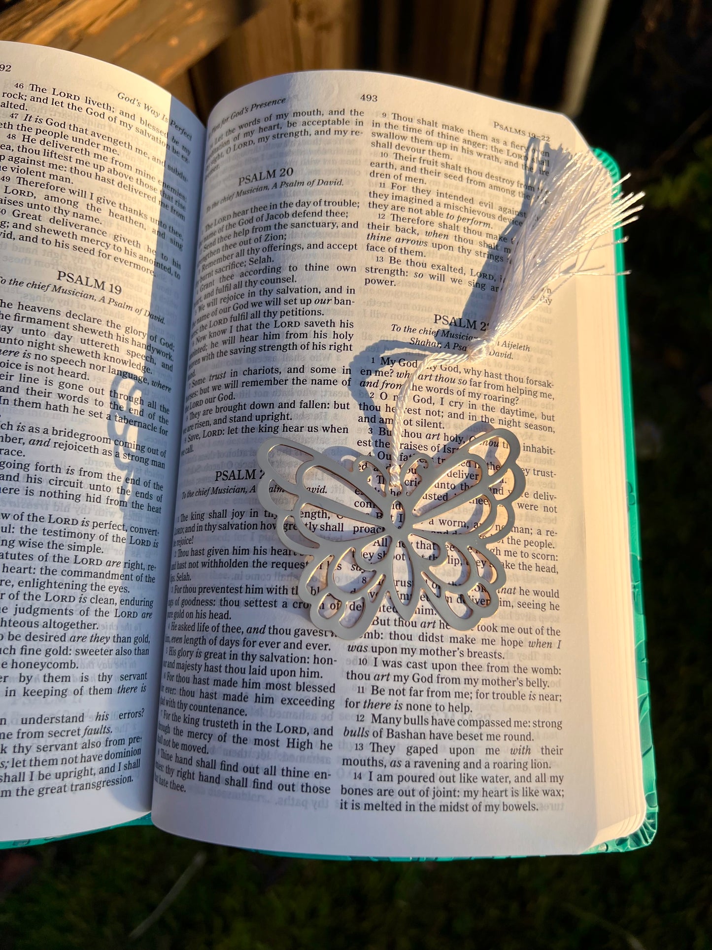 Bookmark de mariposa