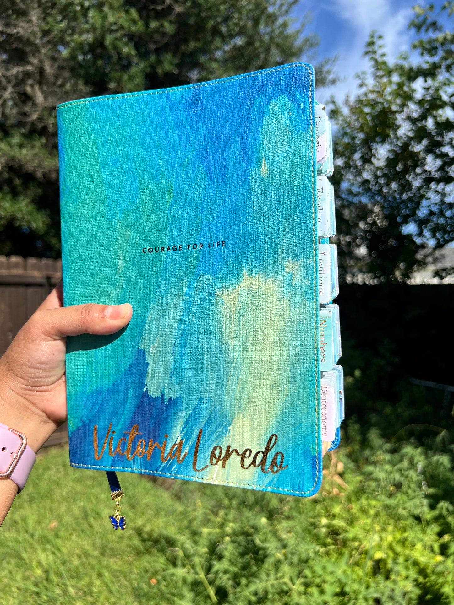 Courage for life bible (NLT)