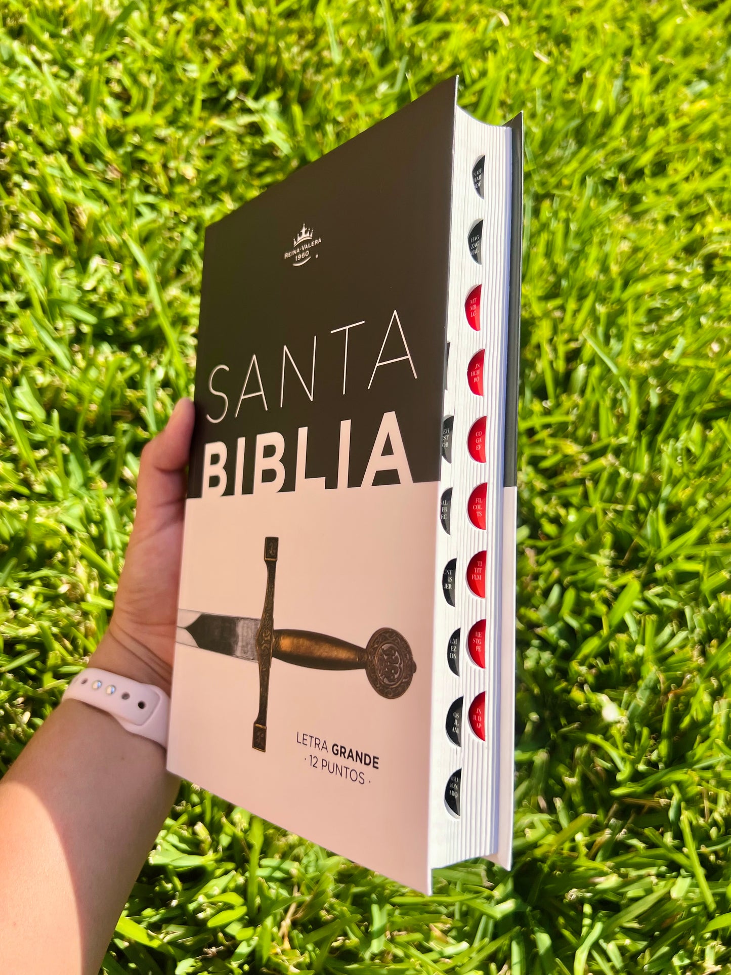 Biblia Letra Grande 12 puntos RV1960 flexible con índice - Y tomad la espada del Espíritu