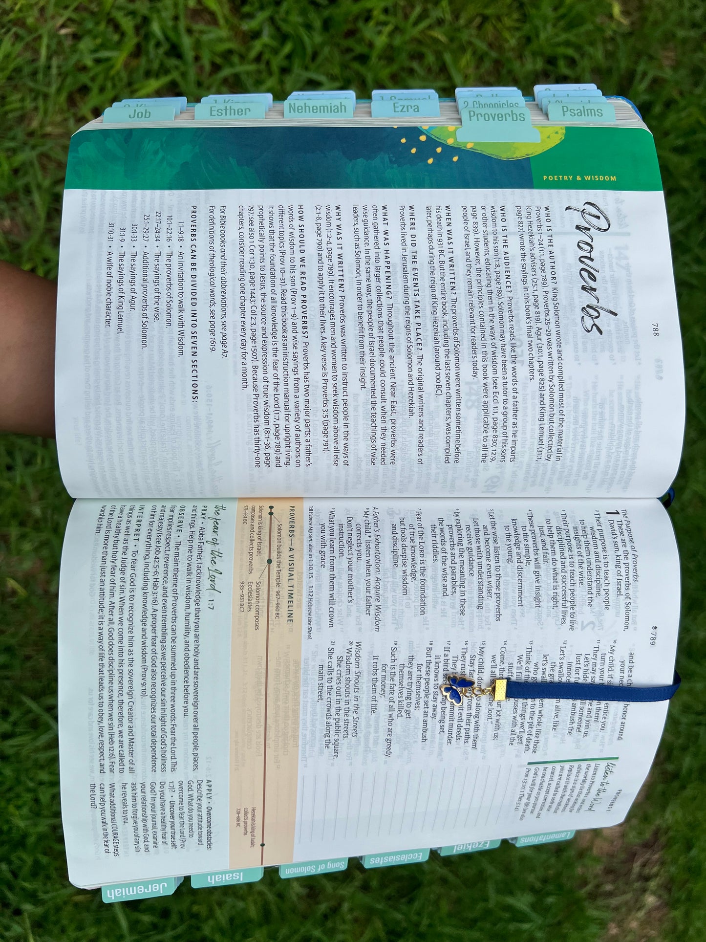 Courage for life bible (NLT)