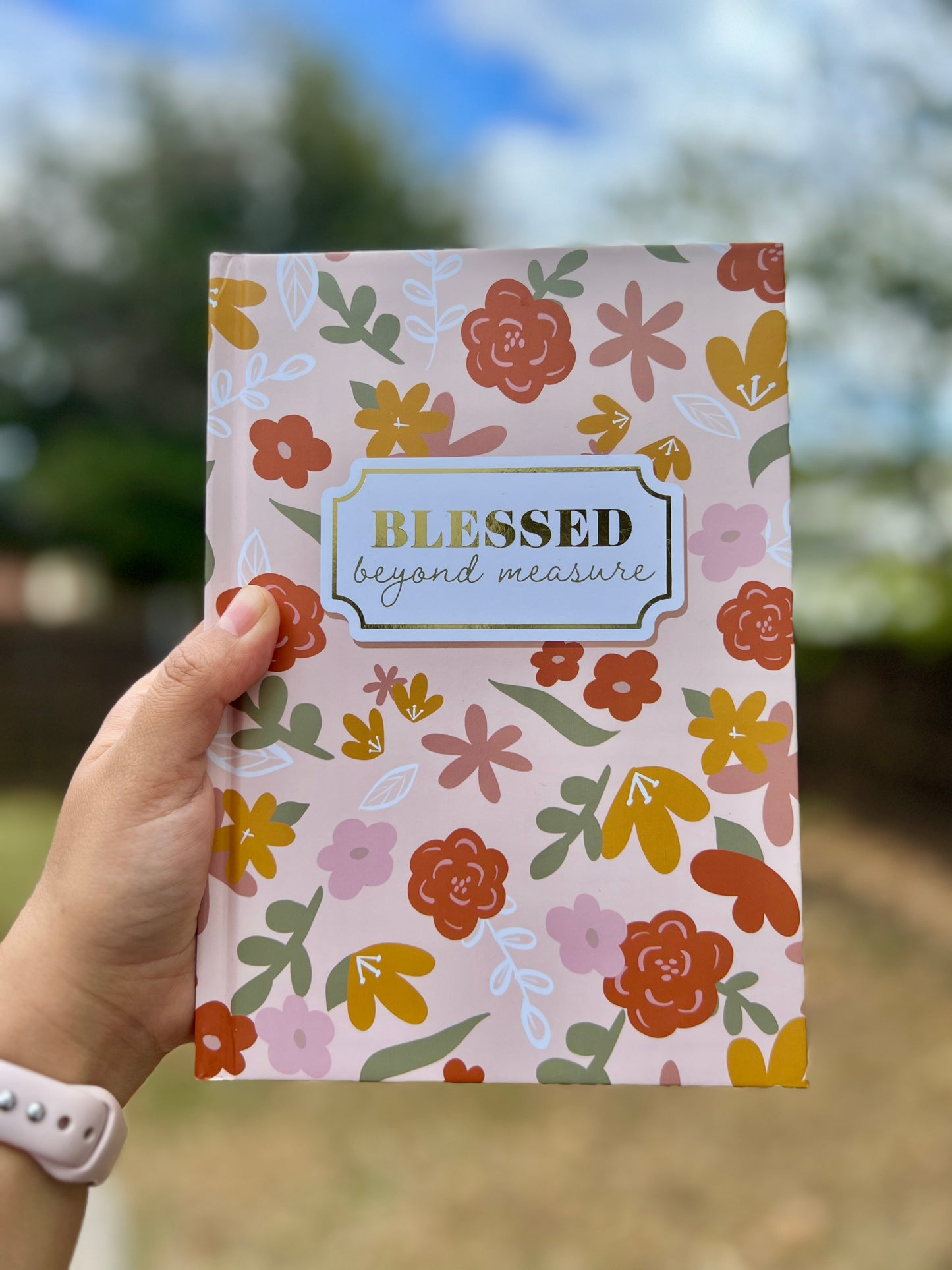 Journal (BLESSED beyond measure)