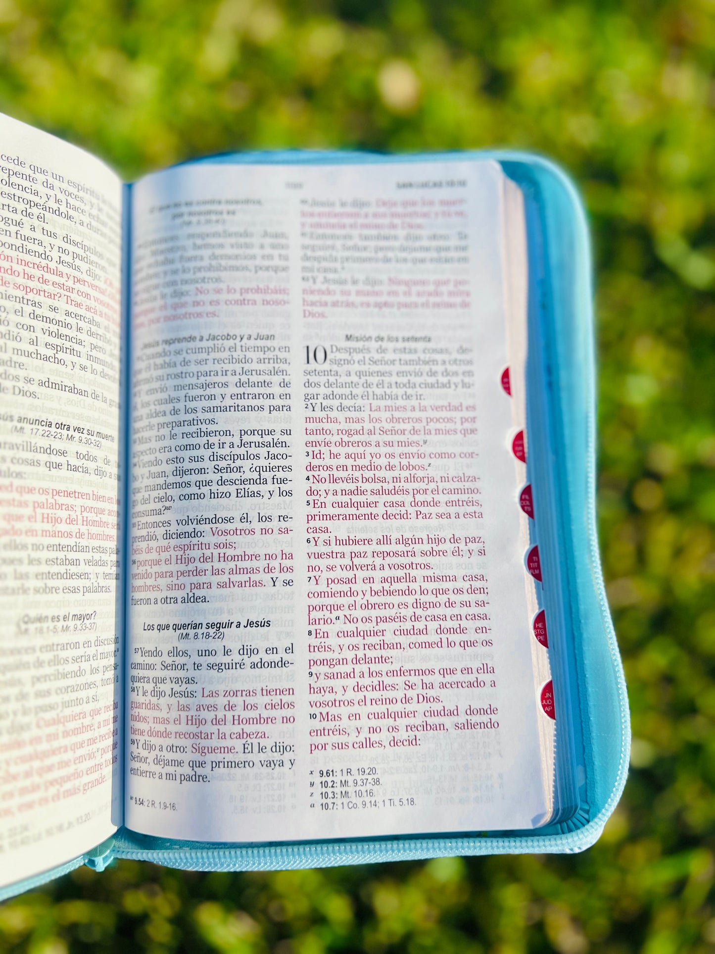 Biblia turquesa con flores blancas (RV1960)