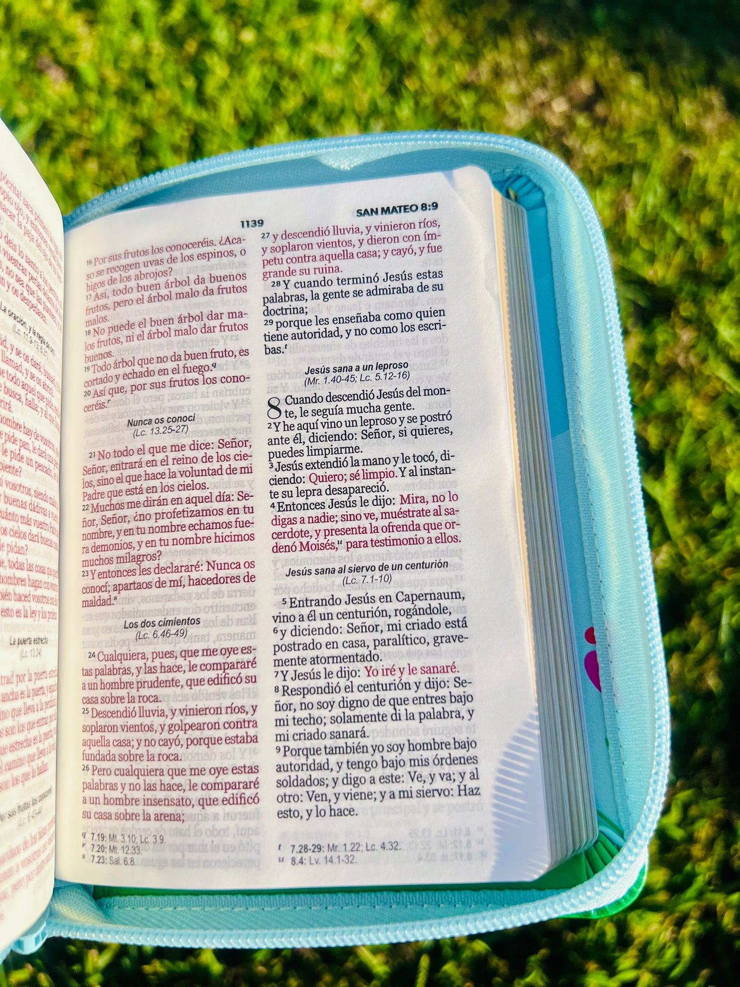 Biblia de bolsillo diseño azul con flores y pajarito (RV1960)