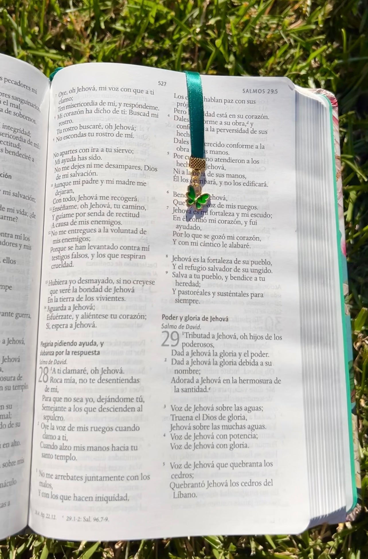 Biblia estampado floreado