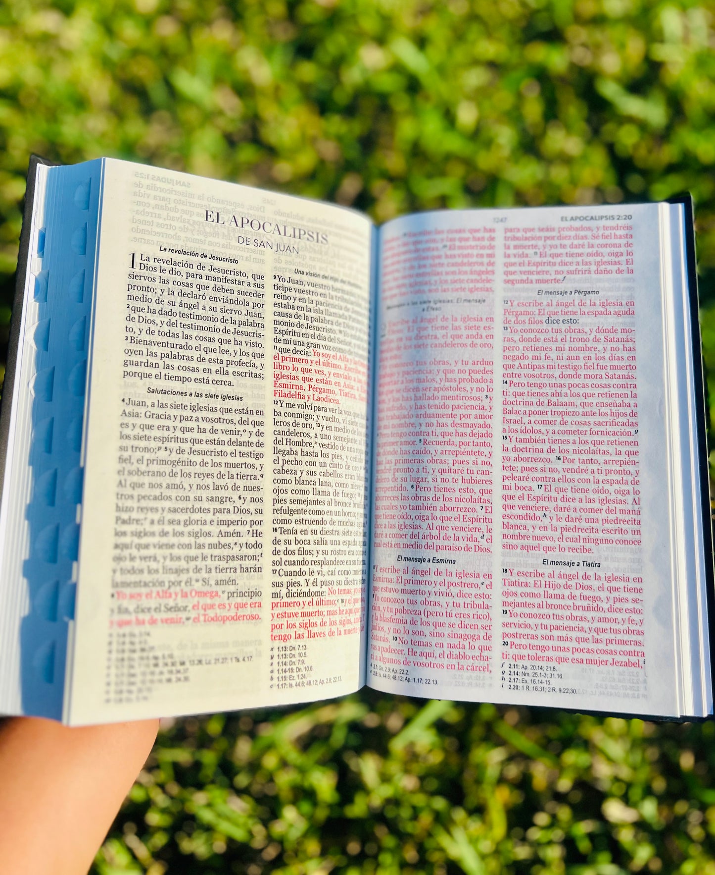 Biblia de león (RV1960)