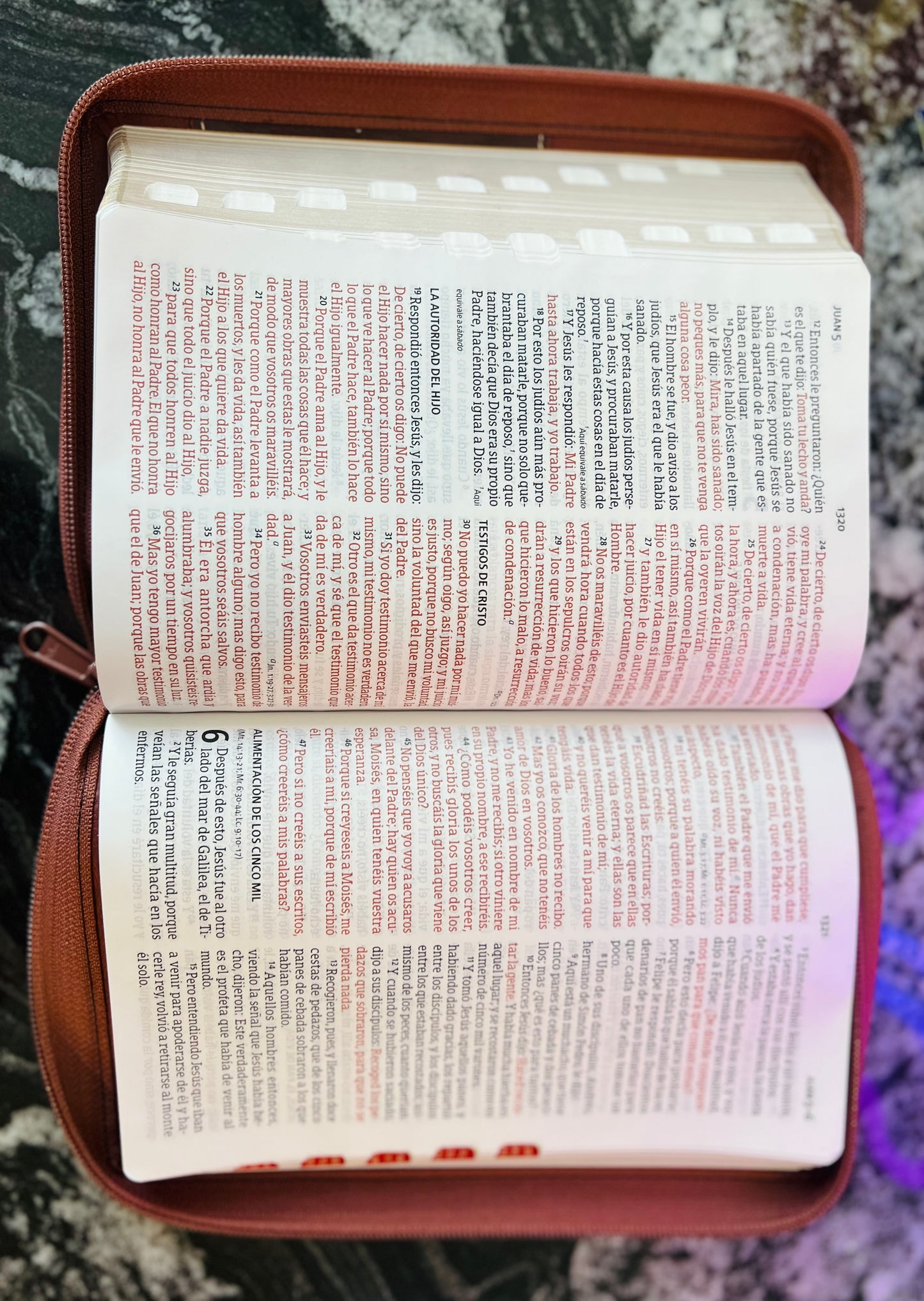 Biblia de león imitación piel