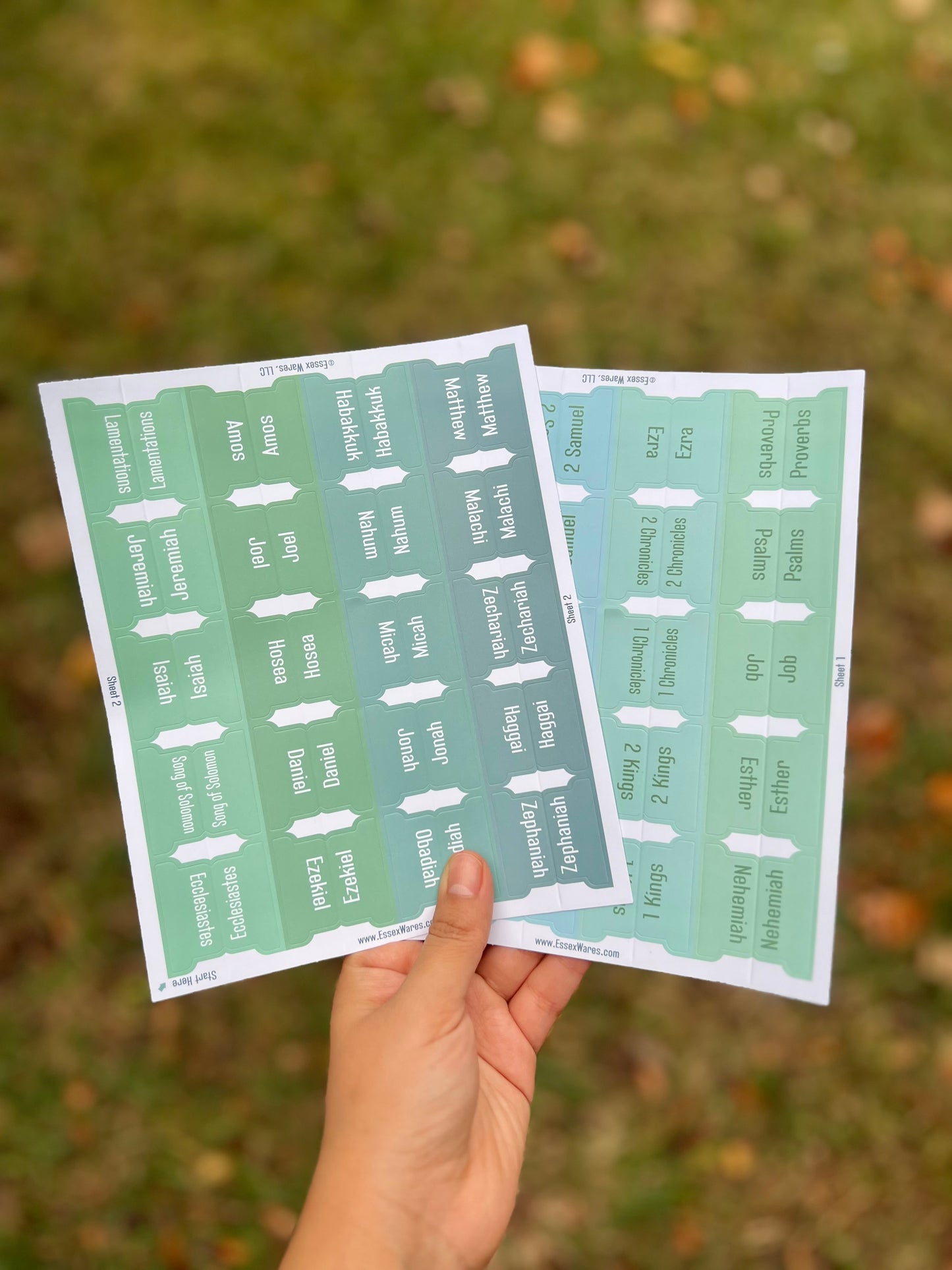 Aqua tabs