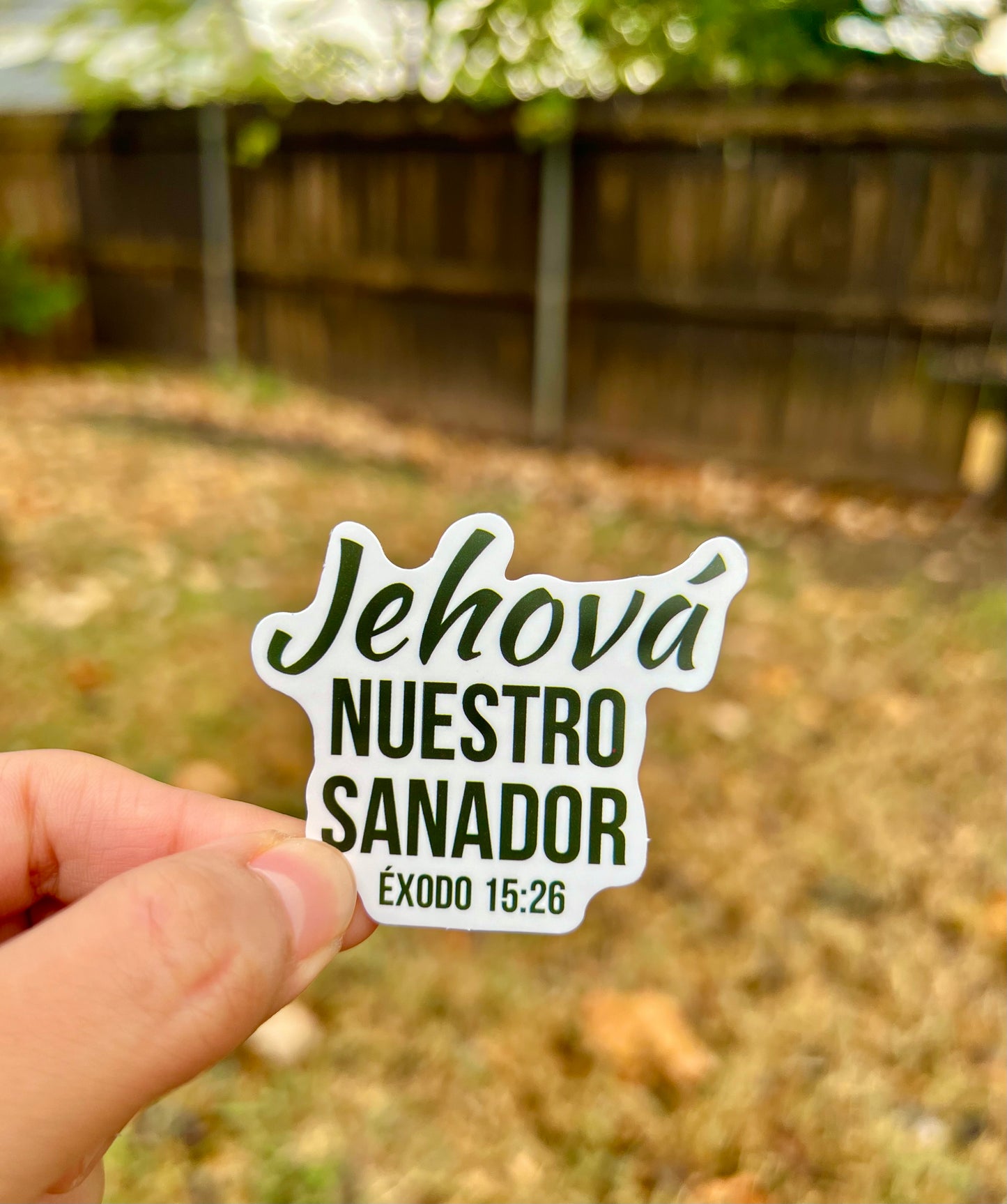 Jehová nuestro sanador. Éxodo 15:26