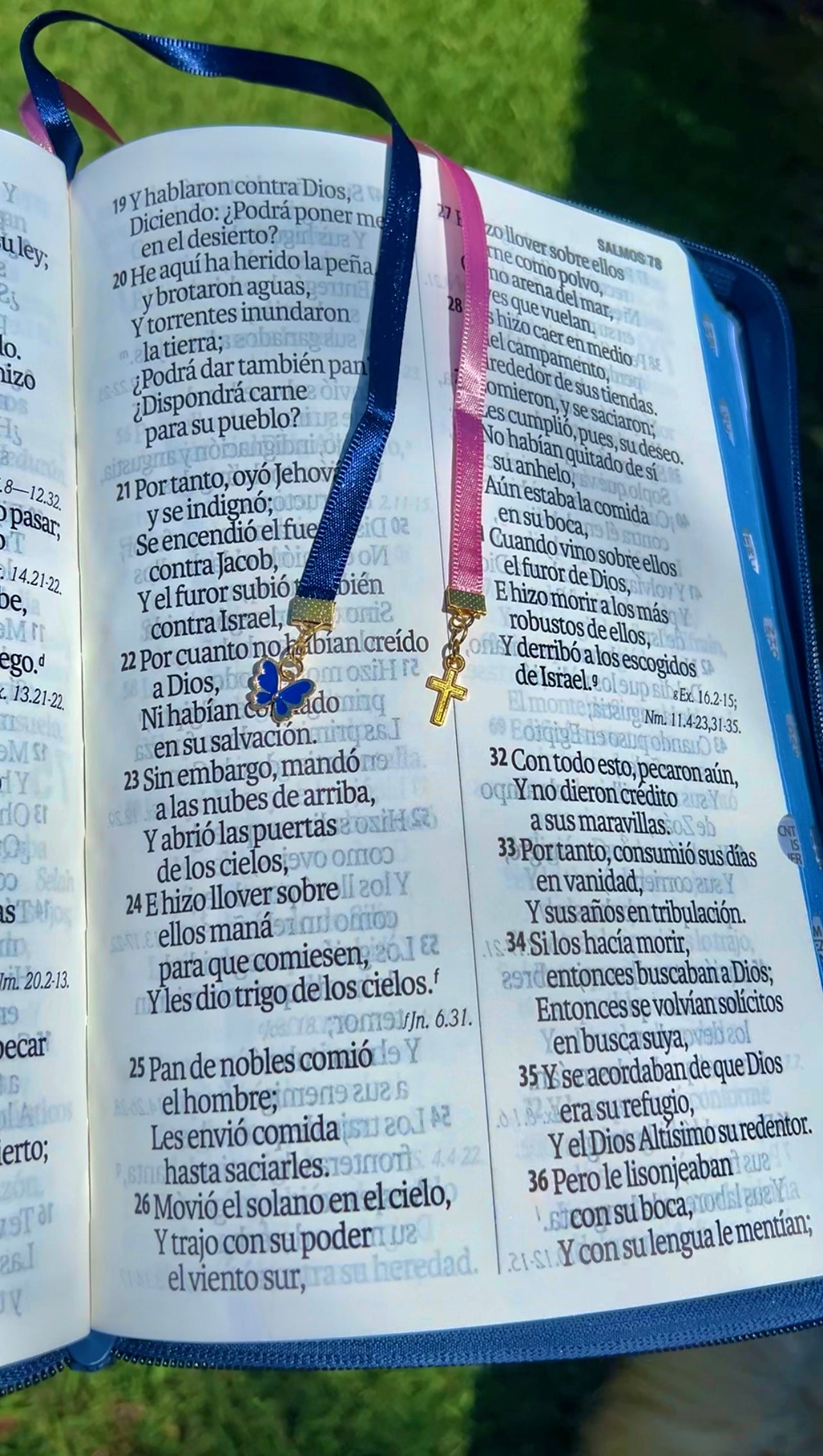 Santa Biblia azul floreada (RV1960 19 pts)