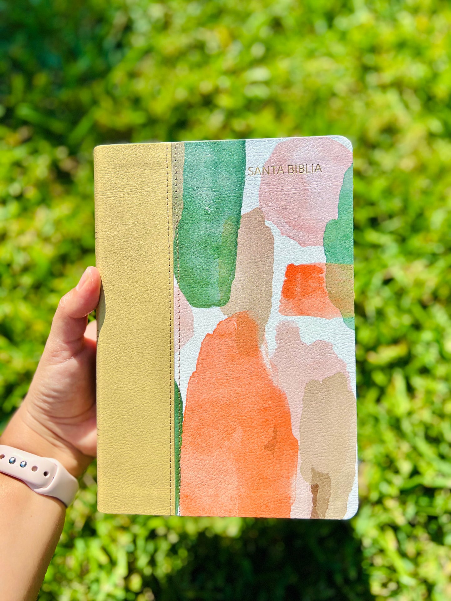 Biblia multicolor (RV1960)