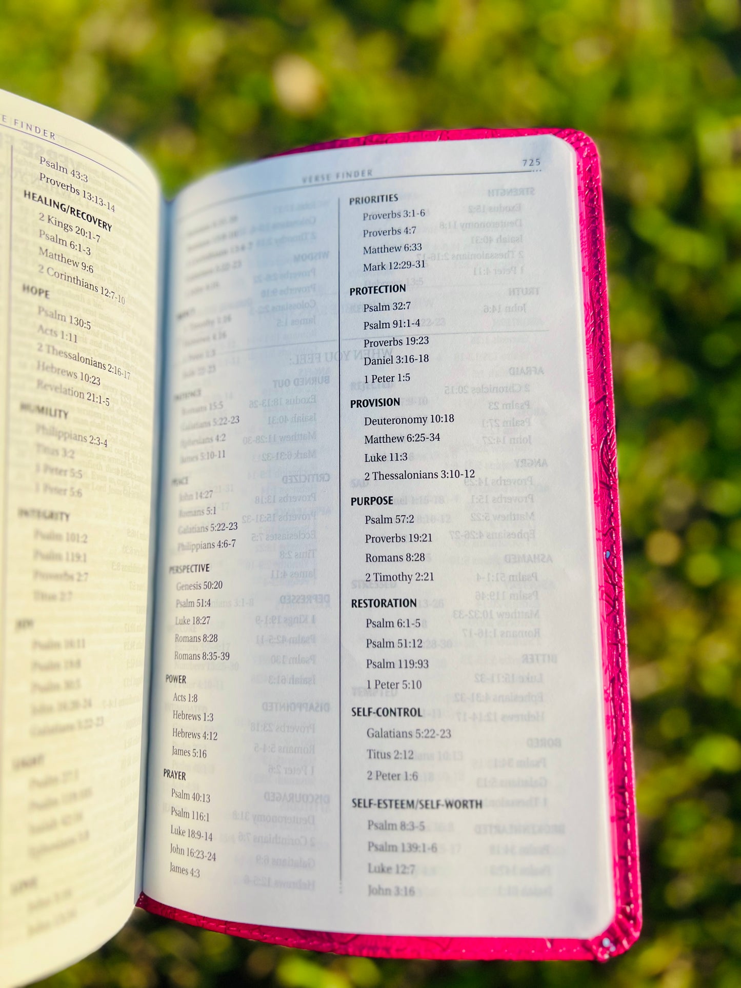 Holy Bible (KJV fuchsia faux leather)