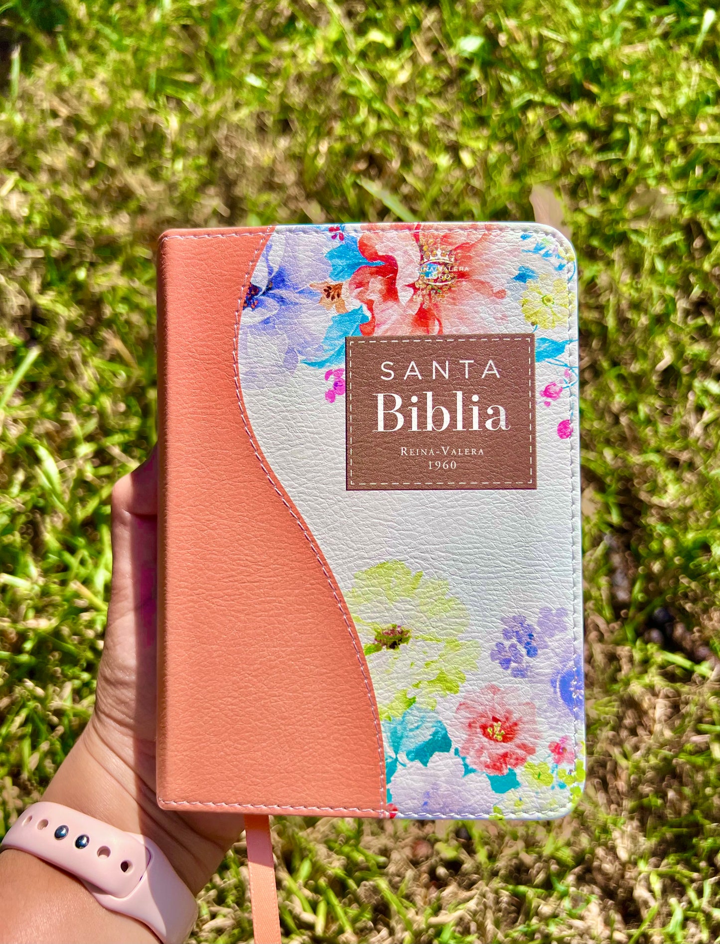 Biblia Coral de Bolsillo (RV1960 8pts)