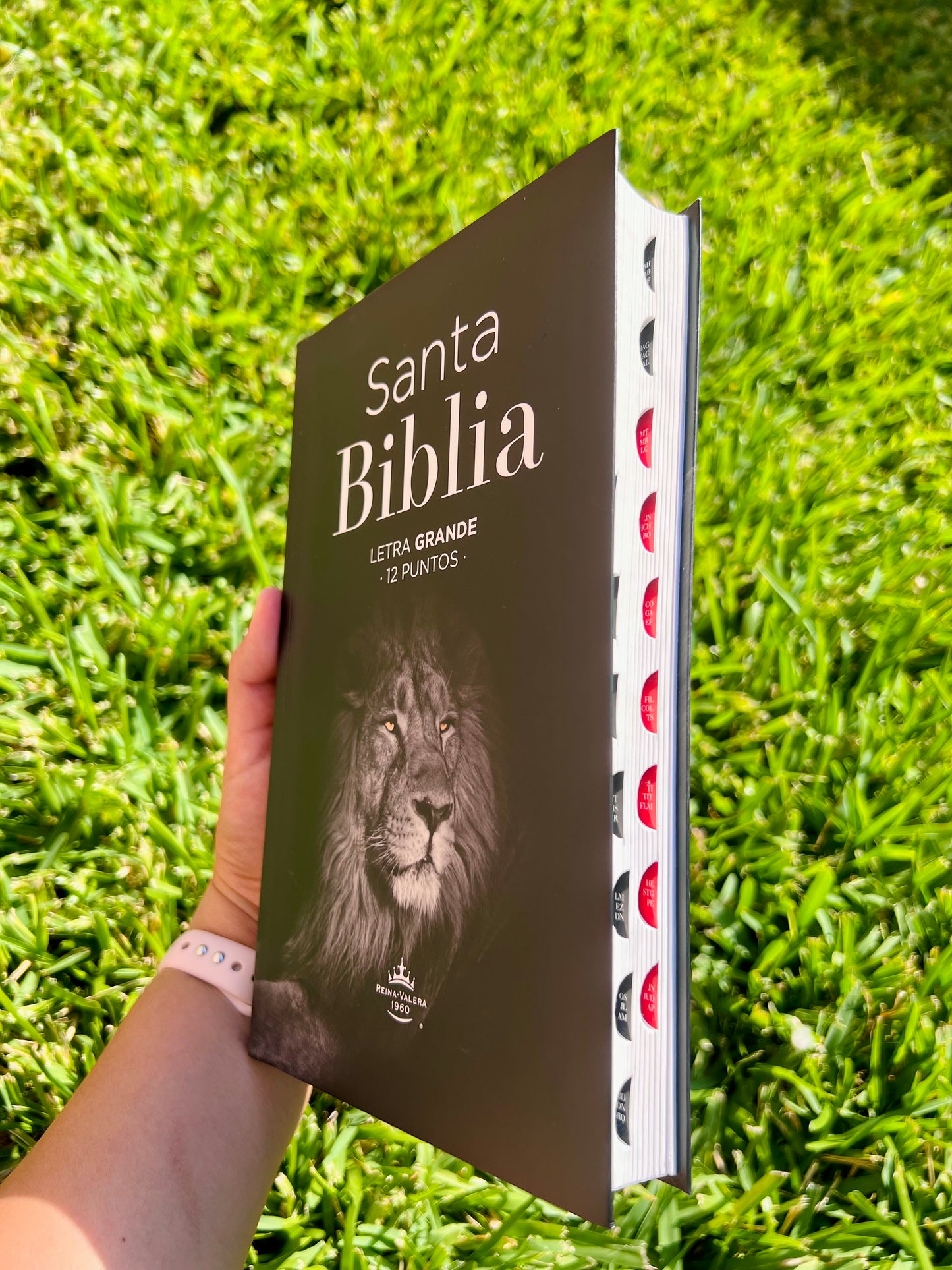 Biblia León Letra Grande 12 puntos RV1960 flexible con índice - León de la tribu de Judá ha vencido