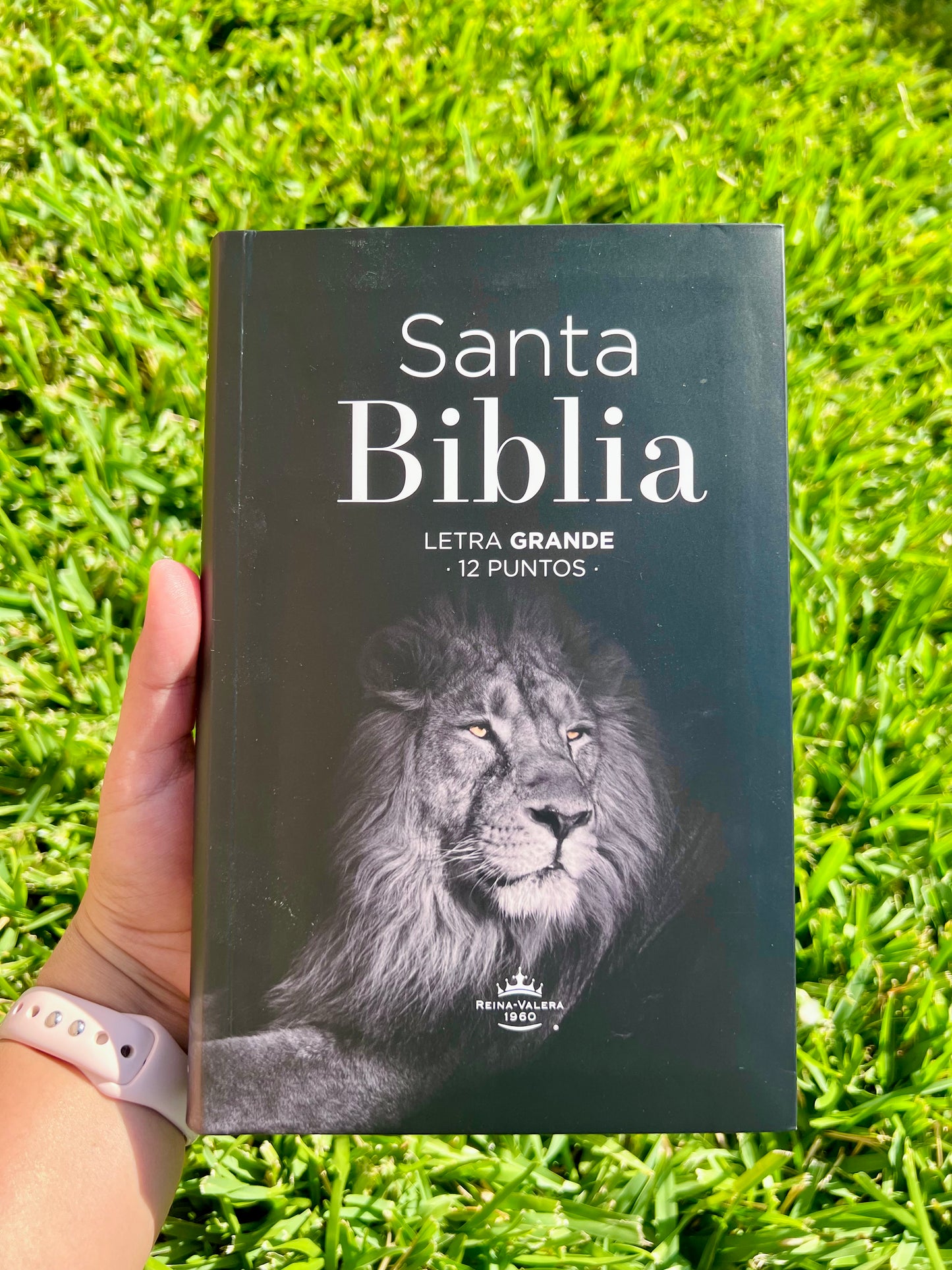 Biblia León Letra Grande 12 puntos RV1960 flexible con índice - León de la tribu de Judá ha vencido