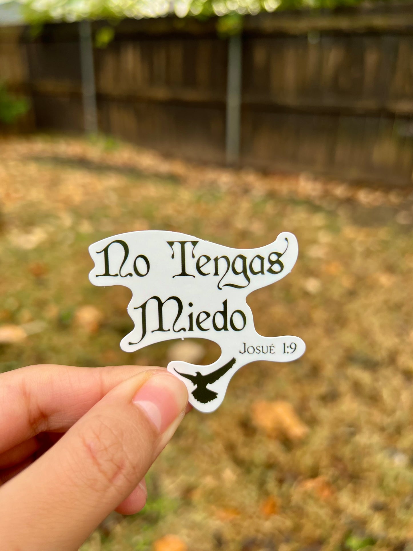 No tengas miedo. Josué 1:9