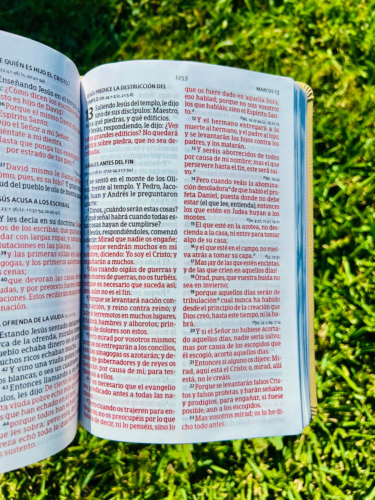 Biblia multicolor (RV1960)