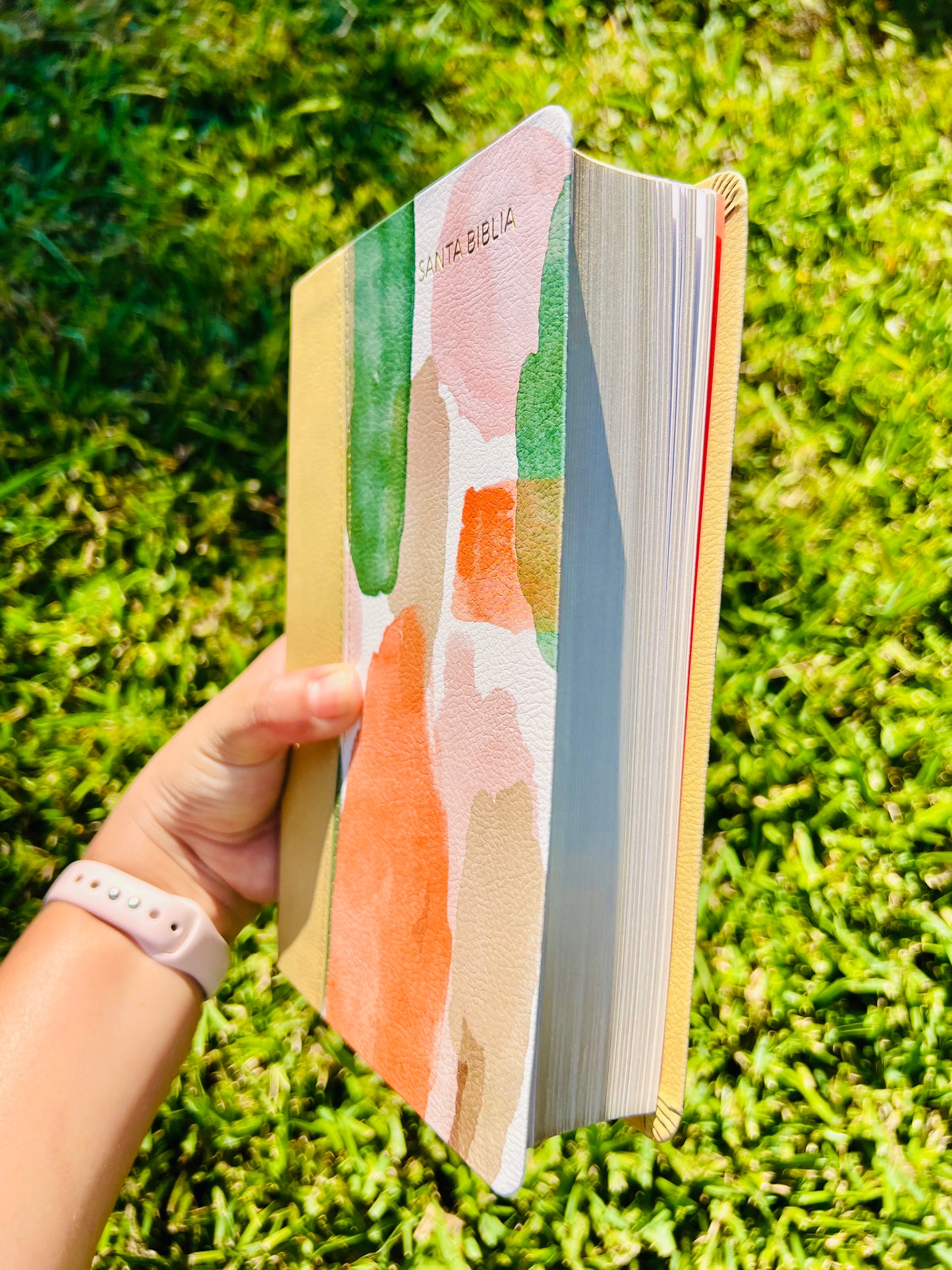 Biblia multicolor (RV1960)