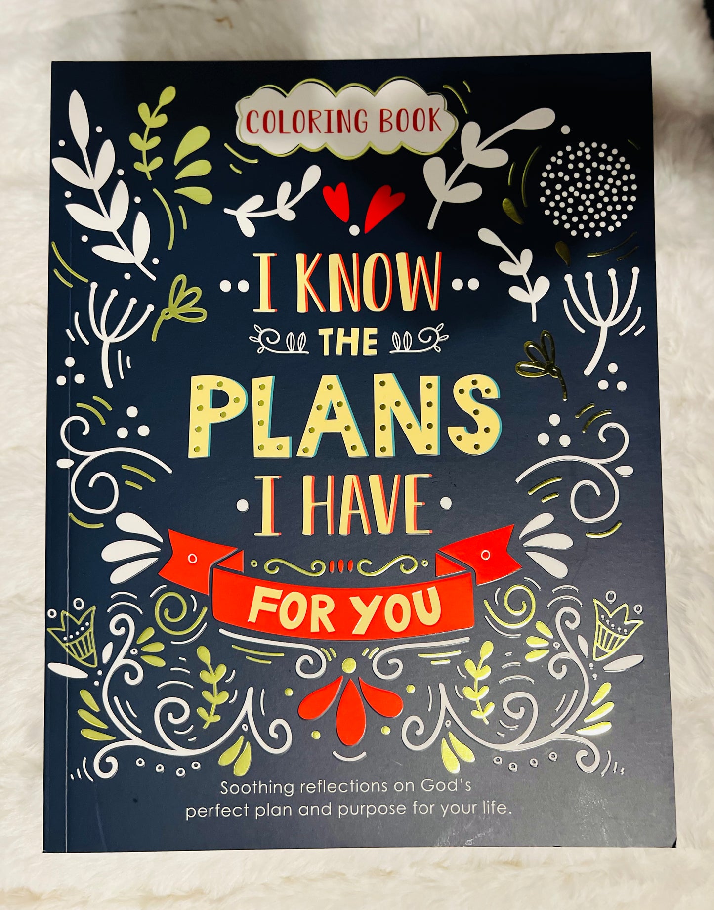 I know the plans I have for you Libro para Colorear