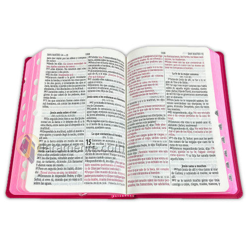 Biblia Fucsia con Letra Grande, Indice y Concordancia Amplia RV1960