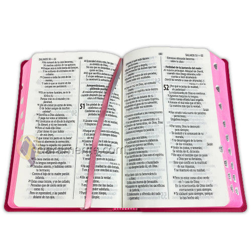 Biblia Fucsia con Letra Grande, Indice y Concordancia Amplia RV1960