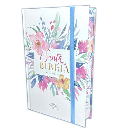 Biblia Letra Grande 12 puntos para Mujer RV1960 tapa dura celeste floral